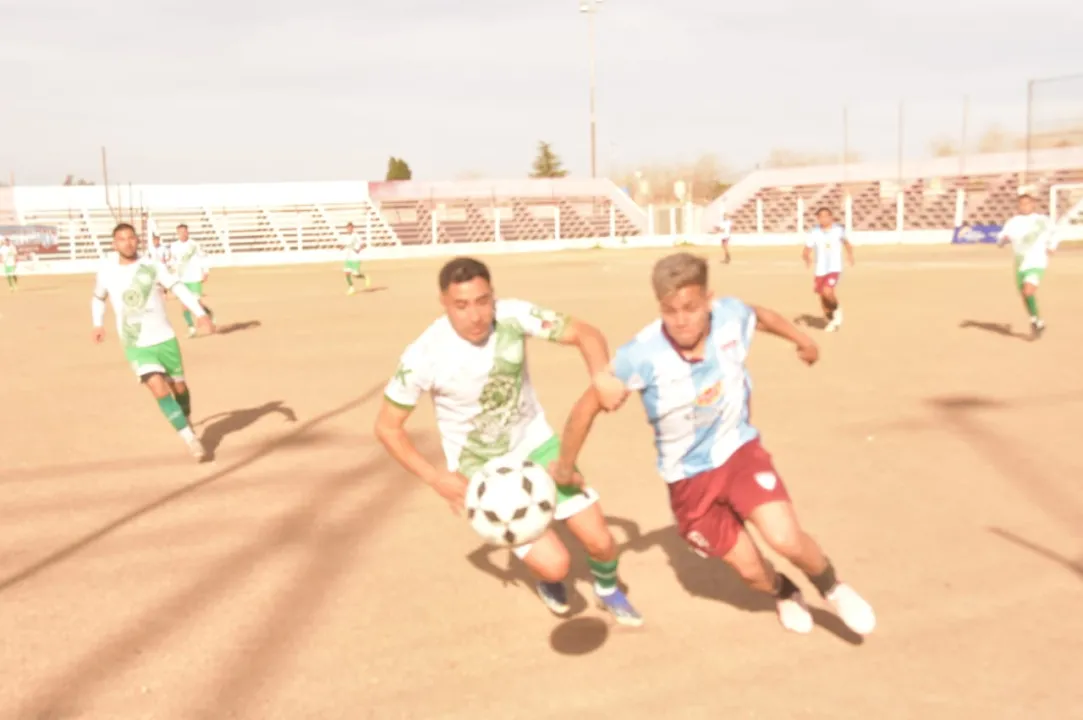 WhatsApp Image 2025-08-03 at 4.48.23 PM (1).jpeg