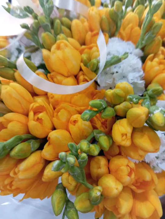 95673e77-2c8c-4bed-946d-2585dec54733.jfif