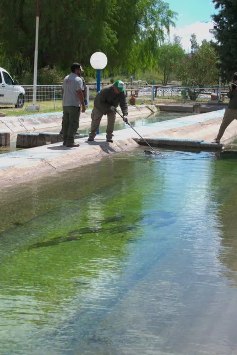 WhatsApp Image 2026-03-13 at 16.13.50.jpeg