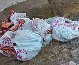 Indignación en Rivadavia: arrojaron animales faenados a un canal