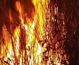 Dos focos ígneos en Pocito obligaron a un operativo por el viento sur