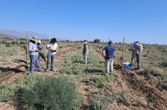 Detectaron a 40 empleados sin registrar en una finca sanjuanina y hubo denuncia oficial
