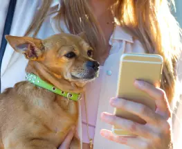 Kahu, la app sanjuanina que busca transformar el cuidado de las mascotas