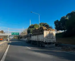 Camión perdió una carga de leña en Circunvalación y provocó un caos de tránsito