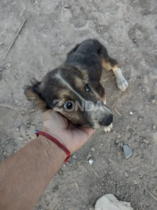 Sala de Emergencias SJ (5).jpg