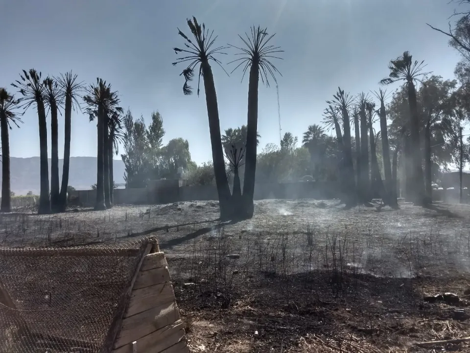 Incendio en Pocito