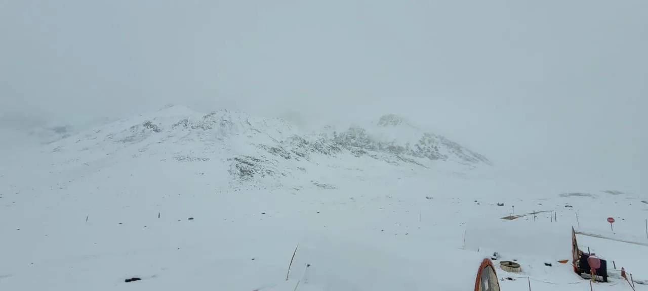 WhatsApp Image 2024-04-13 at 12.01.47 PM.jpeg