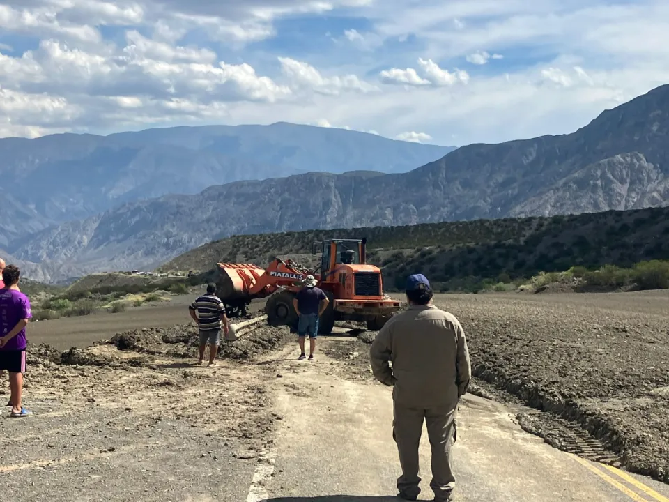 7223e365-1259-440d-af4a-f4f4ae84e427.jfif