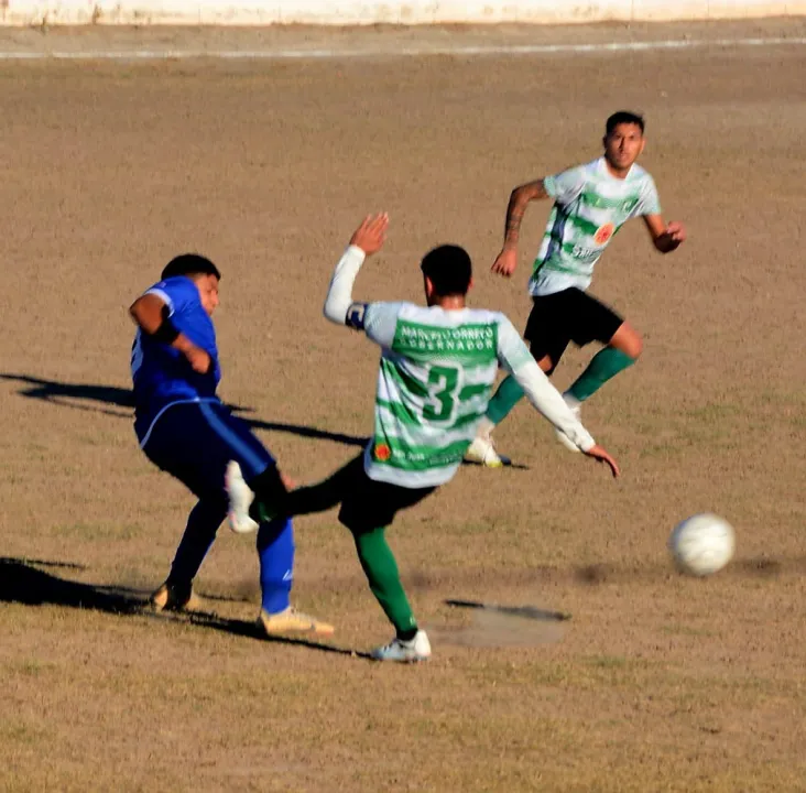 Arbol Verde Union de Villa Krause (2).jpeg