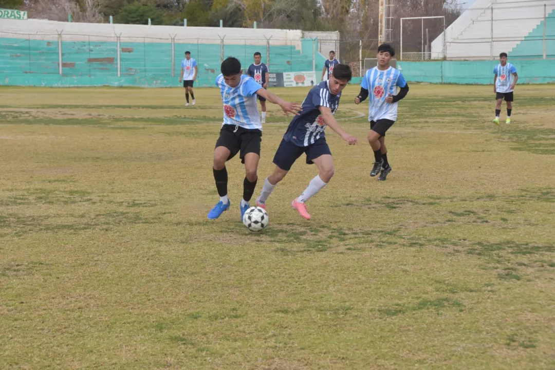 WhatsApp Image 2025-06-25 at 3.54.06 PM (1).jpeg