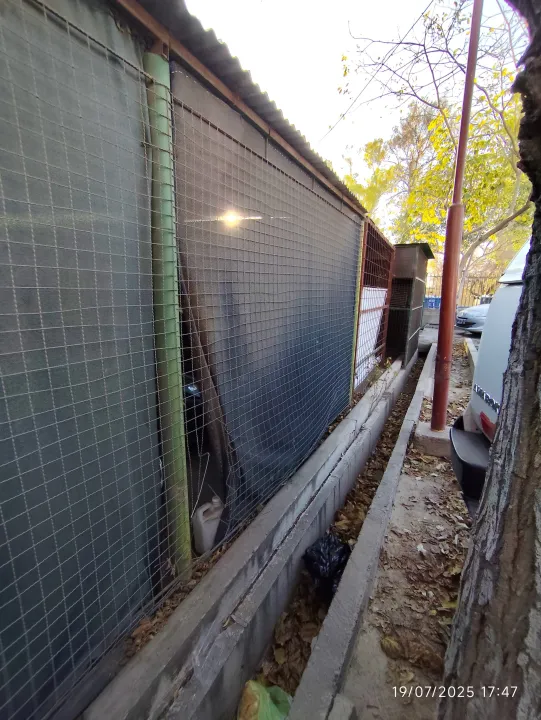 WhatsApp Image 2025-07-19 at 9.13.24 PM.jpeg