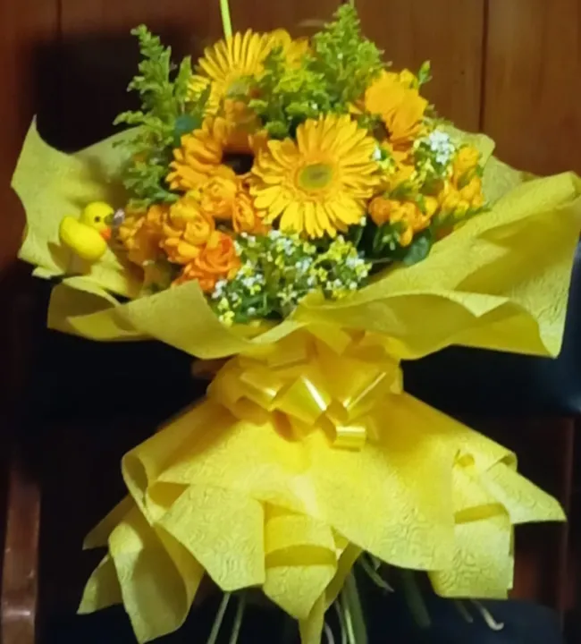 4d361338-0de9-4c0c-b2f4-0db4cbefc977.jfif