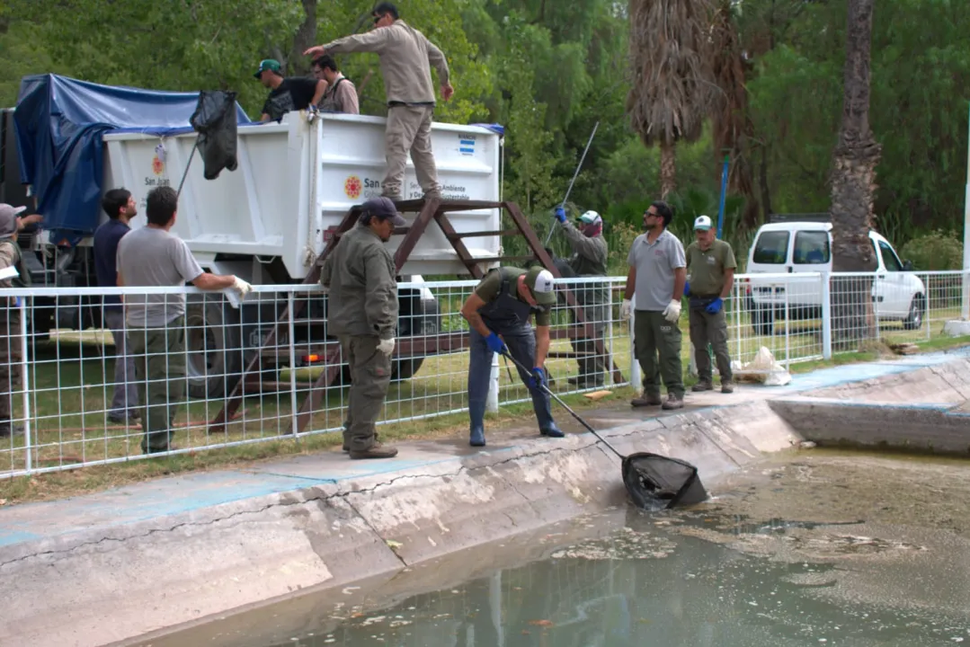 WhatsApp Image 2026-03-13 at 16.13.51 (2).jpeg