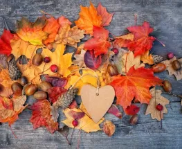 Equinoccio de marzo 2026: rituales energéticos para transitar el otoño y el cambio de estación