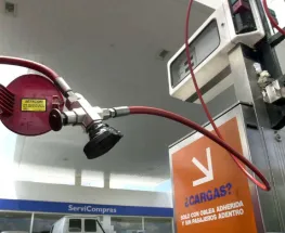 Revelan cuánto podría bajar la nafta en Argentina si se redujeran los impuestos