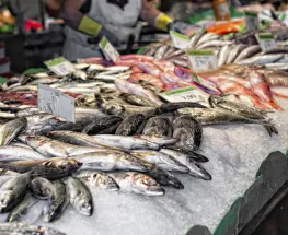 Alerta en San Juan: qué mirar antes de comprar pescado y evitar intoxicaciones