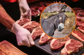 ¿Está permitido? Esto dice el Código Alimentario sobre la carne de burro