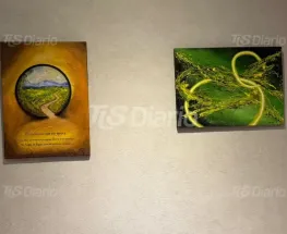 Una exposición de arte local reúne obras de alumnos y artistas en Rawson