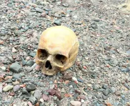 La Justicia analiza el origen de un cráneo humano encontrado en Punta Negra
