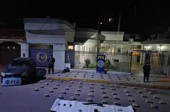 La PFA incautó 78 kilos de marihuana y desarticuló una red narco en La Rioja