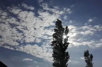 San Juan inicia el sábado con bajas temperaturas y neblina