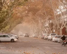 El tiempo en San Juan cambiará de frío y niebla a jornadas con viento Zonda