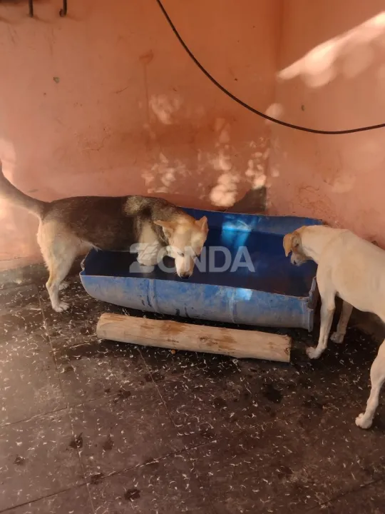 Sala de Emergencias SJ (6).jpg