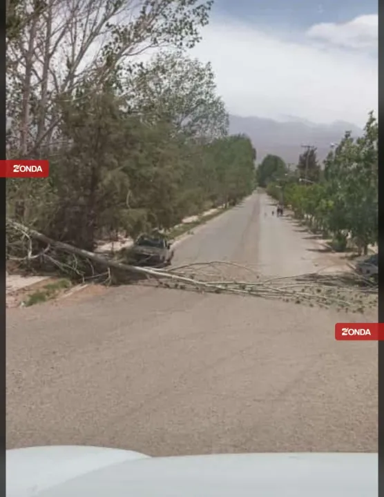 viento zonda en barreal
