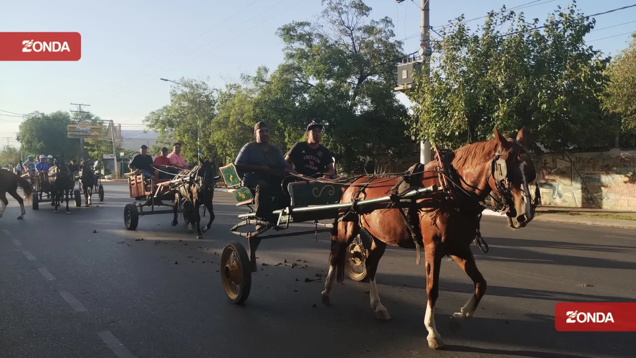 WhatsApp Image 2024-02-03 at 8.32.22 PM.jpeg