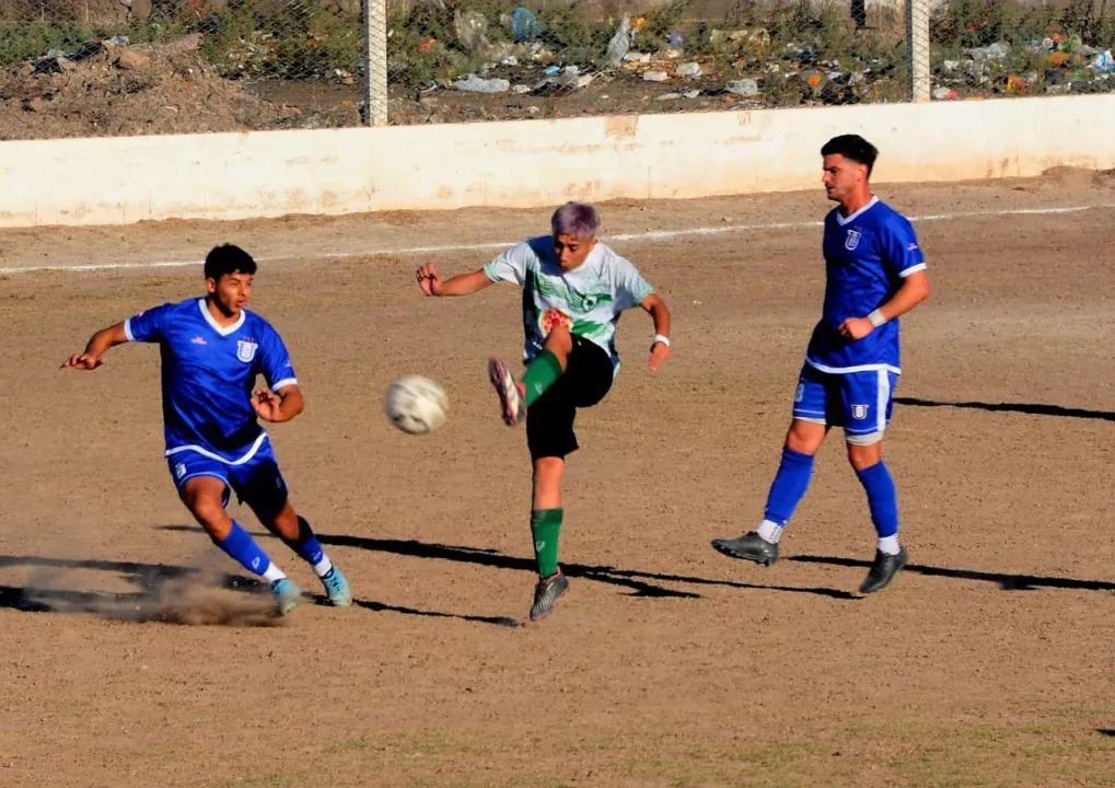 Arbol Verde Union de Villa Krause (3).jpeg