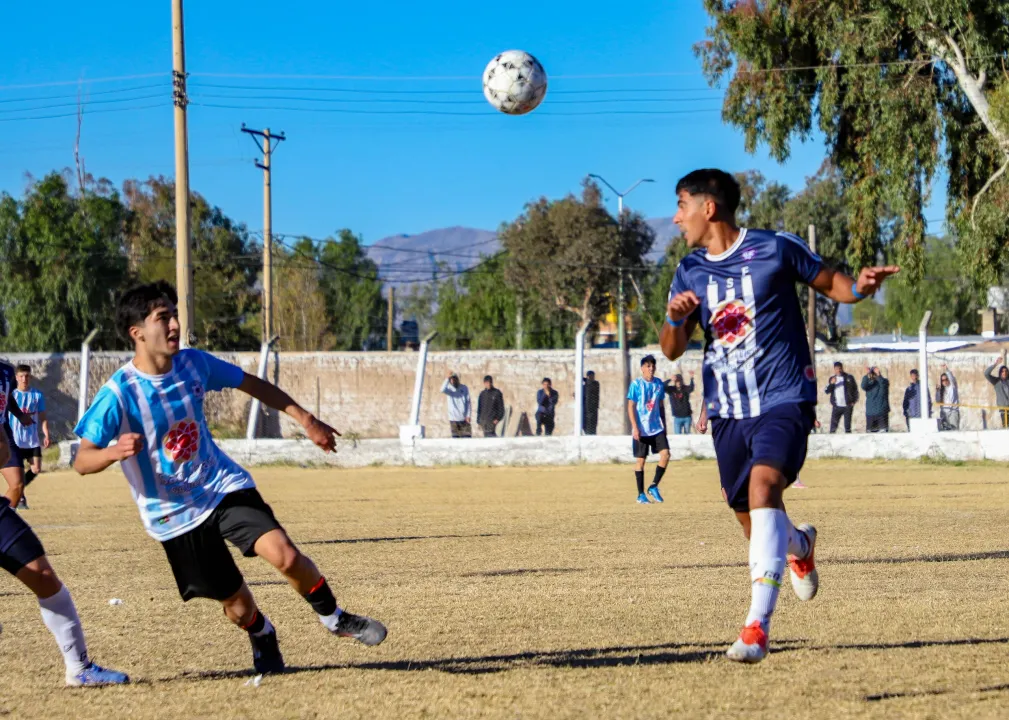 WhatsApp Image 2025-06-04 at 8.24.33 PM.jpeg