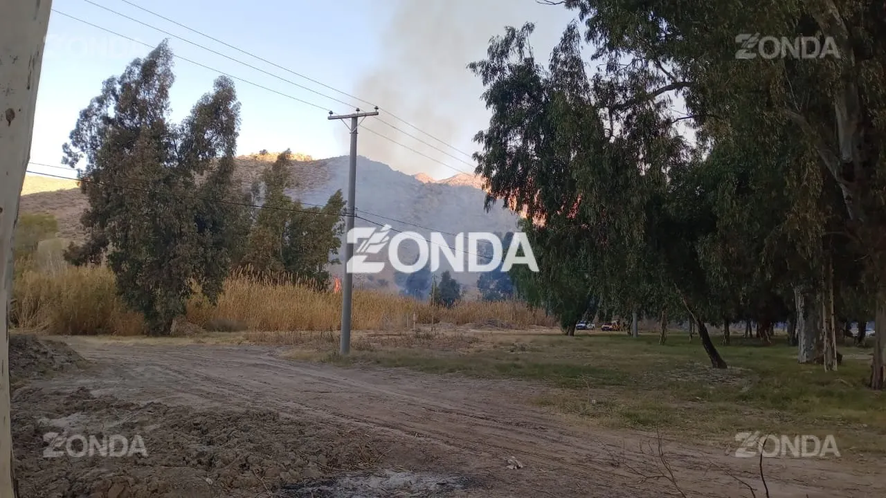 Incendio de un cañaveral frente al Jardín de los Poetas. 
