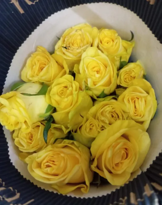 07a704eb-ab85-4f03-bea8-2ded0922f8d5.jfif