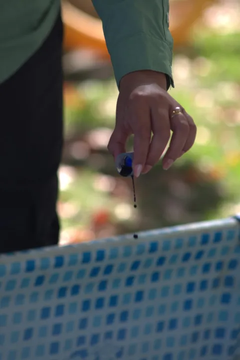 WhatsApp Image 2026-03-13 at 16.13.51 (1).jpeg