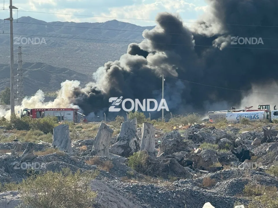 WhatsApp Image 2026-03-31 at 17.52.48.jpeg