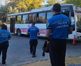 Murió la mujer de 64 años embestida por un colectivo en Avenida Libertador