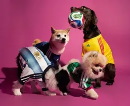 Adidas Originals presentó en China una línea premium para mascotas
