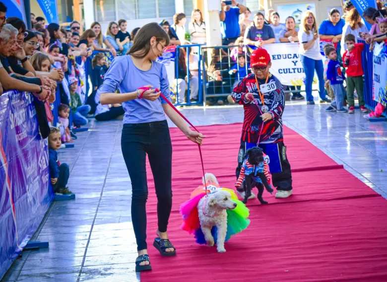 Santa Lucía celebra el Día del Animal con un desfile de mascotas en la plaza