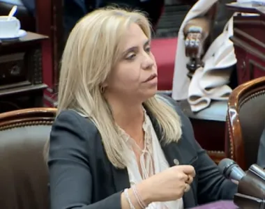 Picón reclamó en Diputados reglas claras para destrabar inversiones mineras