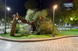 El Zonda dejó incidentes, suspensión de actividades y daños en distintos puntos de San Juan