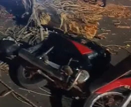 Un árbol cayó sobre una motocicleta durante las ráfagas en Rawson