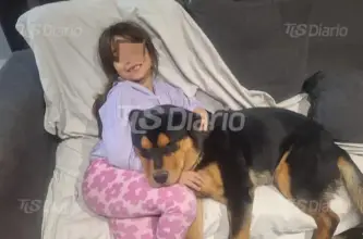 Piden ayuda para encontrar a Lolo, un perro con tratamiento cardíaco que desapareció en Rawson