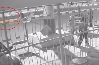 Un episodio en calle 5 quedó registrado en videos y derivó en la intervención policial