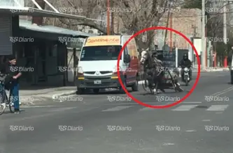 Un caballo con carreta se desbocó en Chimbas y generó una persecución en plena calle