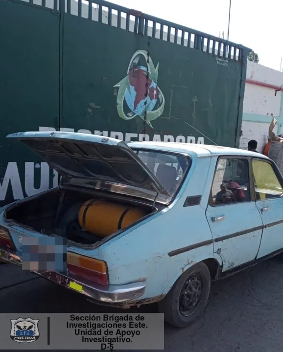 WhatsApp Image 2022-10-15 at 16.50.48.jpeg