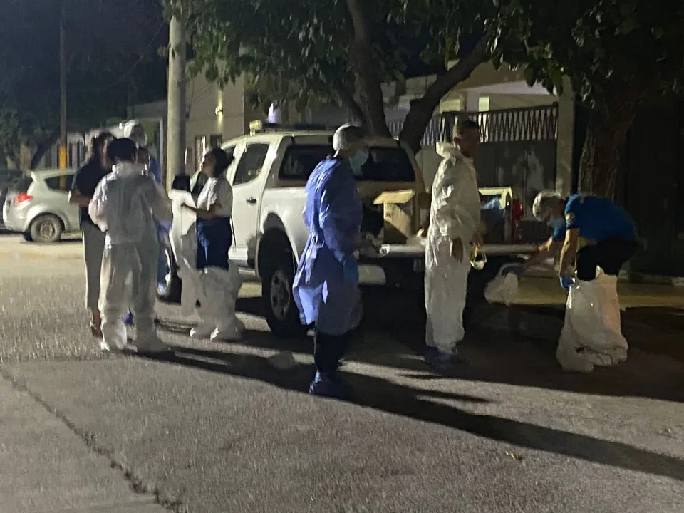 rescate perros gatos animales santa lucia