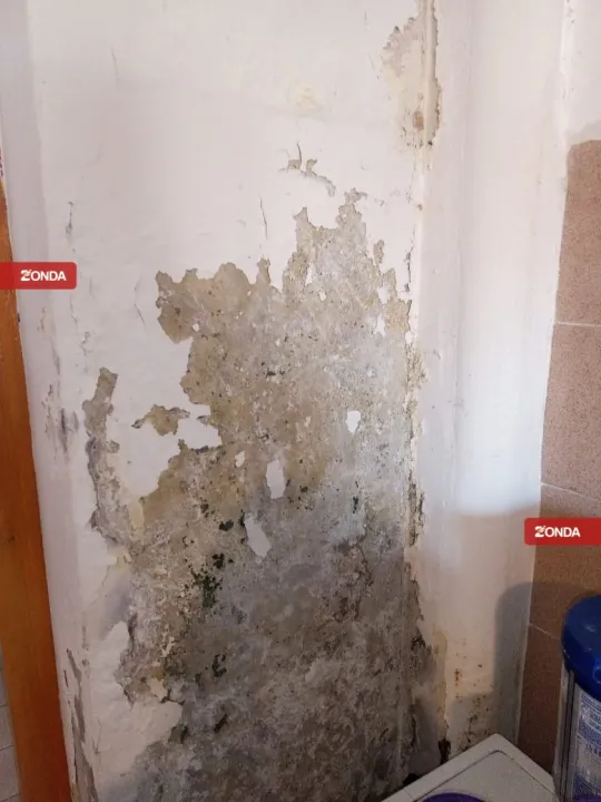 WhatsApp Image 2023-05-16 at 5.42.42 PM.jpeg