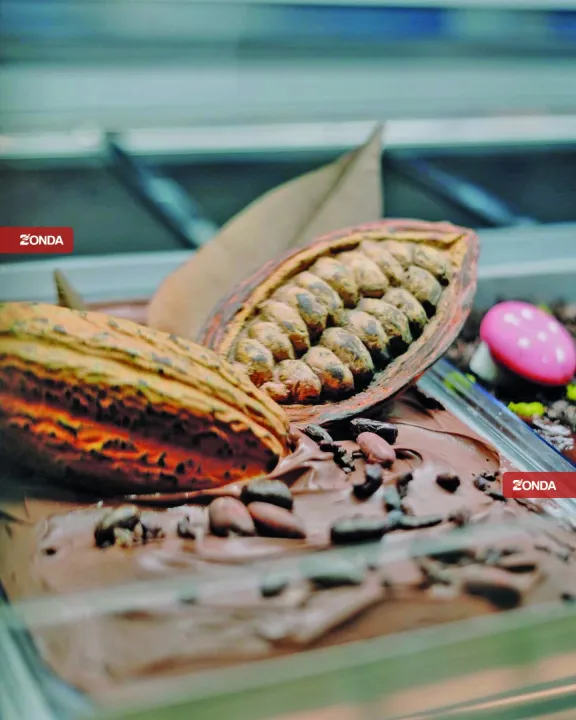 Gerardo Pozo su helado