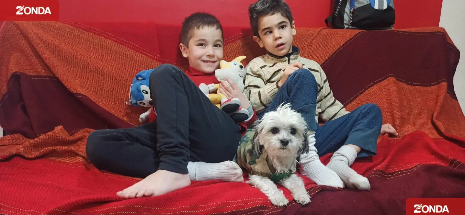 Pupi, perrita robada