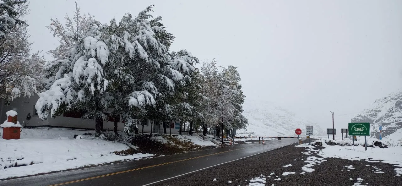 WhatsApp Image 2024-04-14 at 1.23.04 PM.jpeg